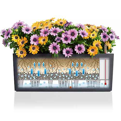 The Self-Watering System